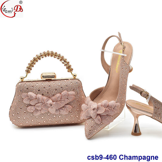 Back Tie Clutch & Shoe Set